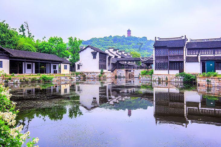 深入了解知识星球平台,萝卜一般怎么做好吃等你加入!